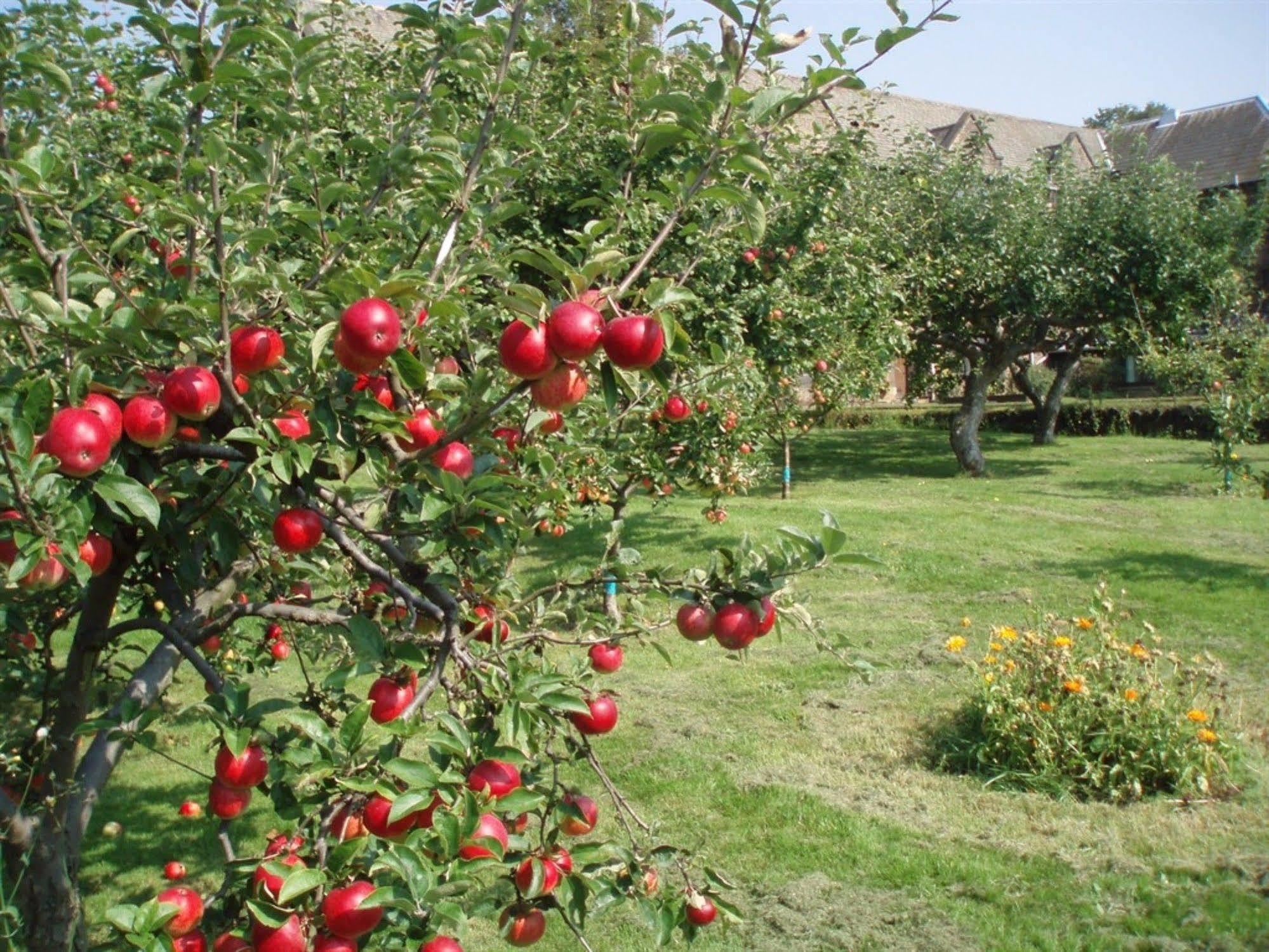 Mirfield Monastery B&B 외부 사진